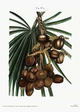 Traite Arbres 1819 HQ Orig