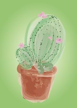 Cacti