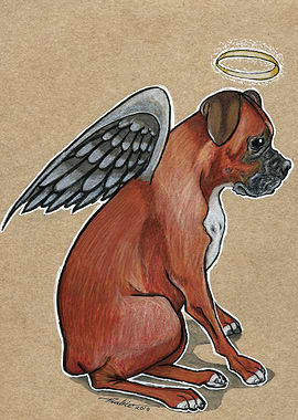 Boxer angel
