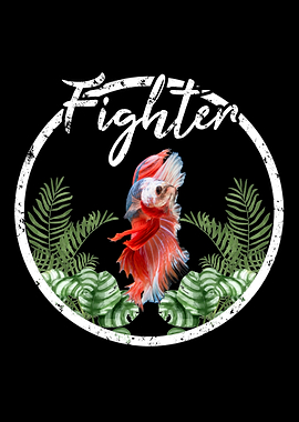 Betta Fish Fish Keeper