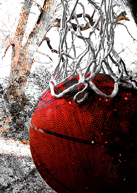 basketball art net 5