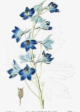 Blue Flower Vintage Poster