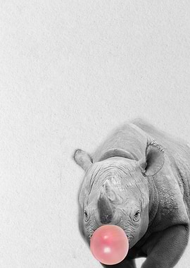 funny rhino baby