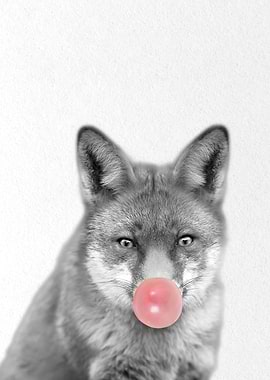 black and white fox wolf