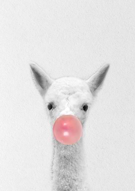 baby Sheep bubblegum