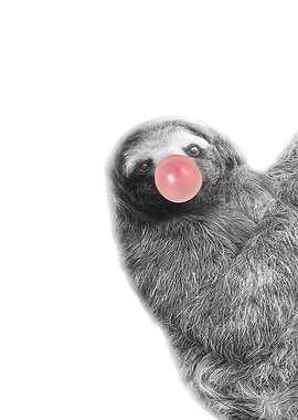 sloth eating bubblegum