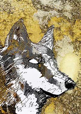 Gray wolf art print