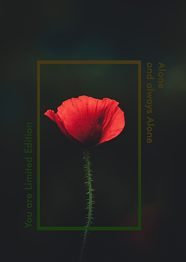 You are Limited Edition