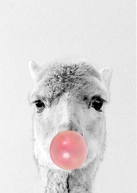 llama eating bubblegum