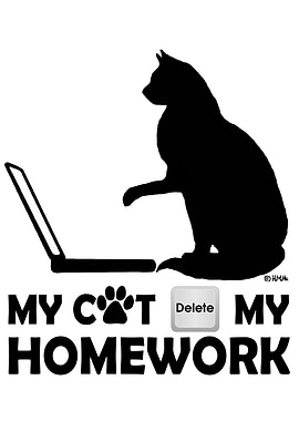 My cat deleted my homework