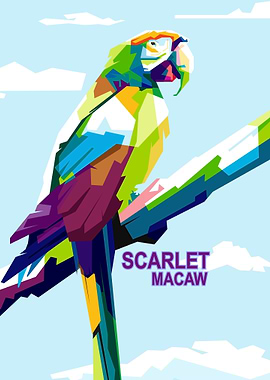 Beauty of Scarlet Macaw