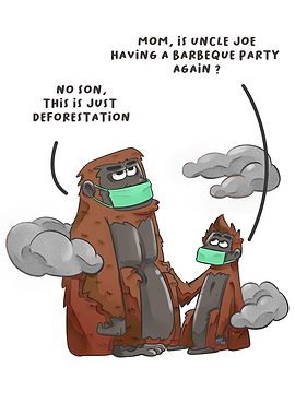 Orang Utan Smoke Problem