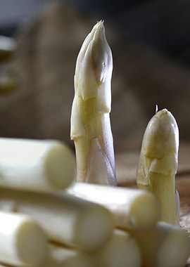 white solo asparagus