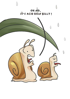 Acidic Rain
