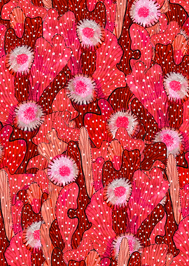 Blooming Succulents Field