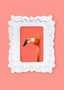 Royal Pink Flamingo