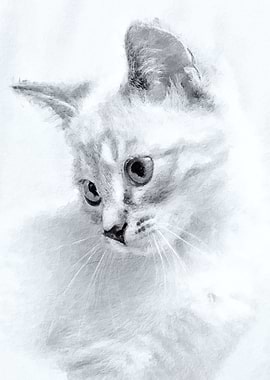 White cat painting