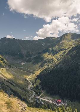 Life in the mountains