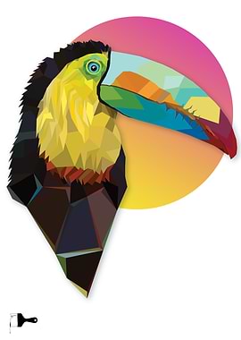 Geometric TOUCAN