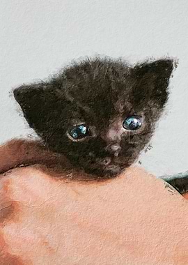 Poor little kitten blue