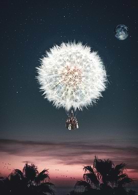 Dandelion Air Balloon