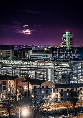 Leeds Moonset