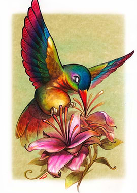 Hummingbird