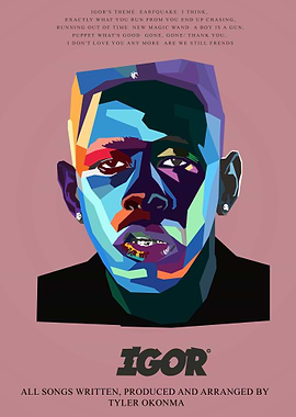 Tyler the creator igor