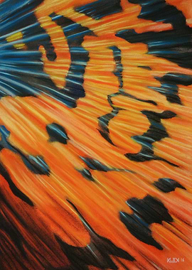 Texture 1 - Fish Tail