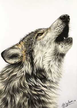 Howling Wolf
