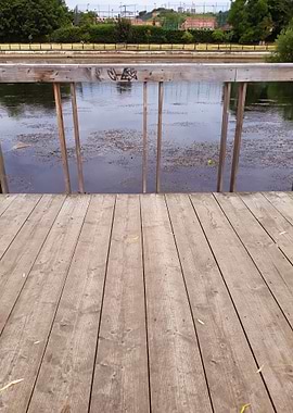 Meet me by the river