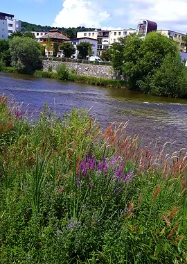 By the river in july