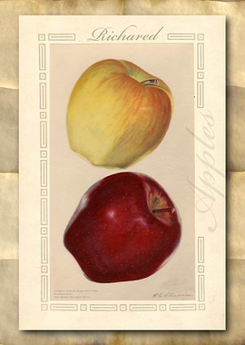 Vintage watercolor apple