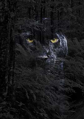 Hidden Panther