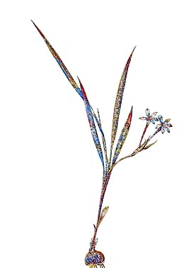 Stained Glass Gladiolus