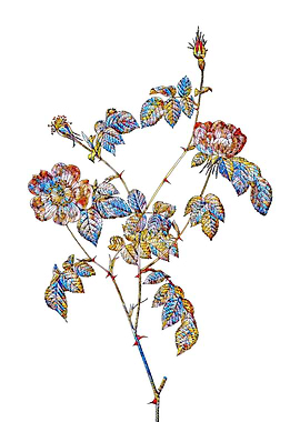 Stained Glass Rose Flower