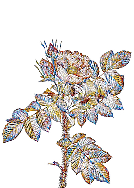 Stained Glass Rose Flower