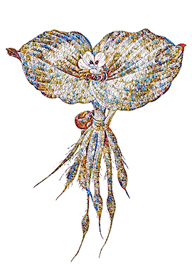 Rainbow Mosaic Flower