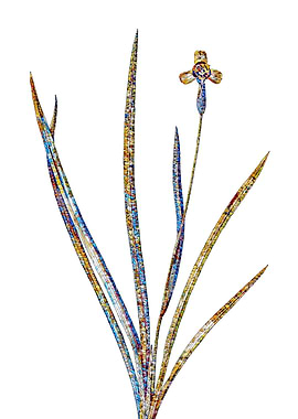 Stained Glass Iris Flower