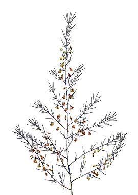 Rainbow Mosaic Flower