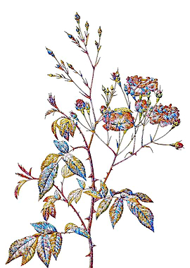 Stained Glass Rose Flower