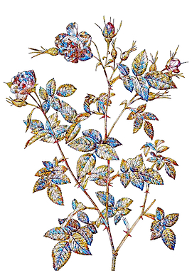 Stained Glass Rose Flower