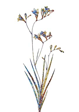 Stained Glass Botanical