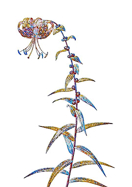 Stained Glass Lily Flower