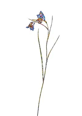 Stained Glass Botanical