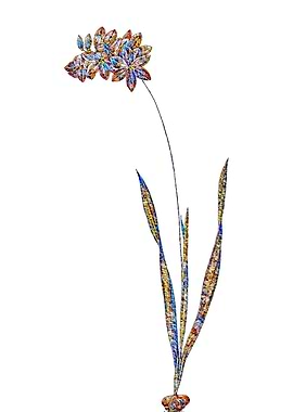 Stained Glass Ixia Flower