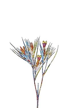 Prismatic Mosaic Floral