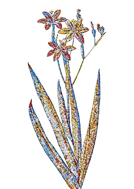 Stained Glass Lily Flower