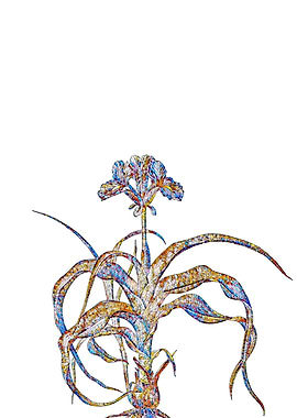 Stained Glass Iris Flower