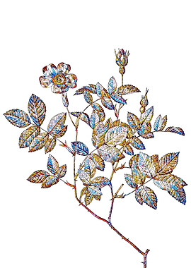 Stained Glass Rose Flower